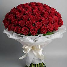 Букет 101 Красная роза Блэк Мэджик в Шенджий