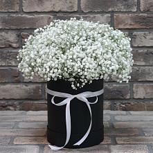 Цветочная композиция из Гипсофила в шляпной коробке в Шенджий