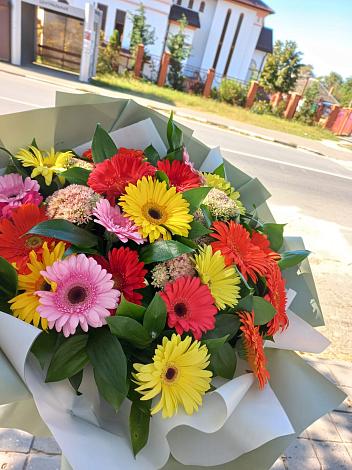 Букет цветов из: Герберы в Шенджий