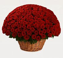 Премиум букет из: Розы в Шенджий